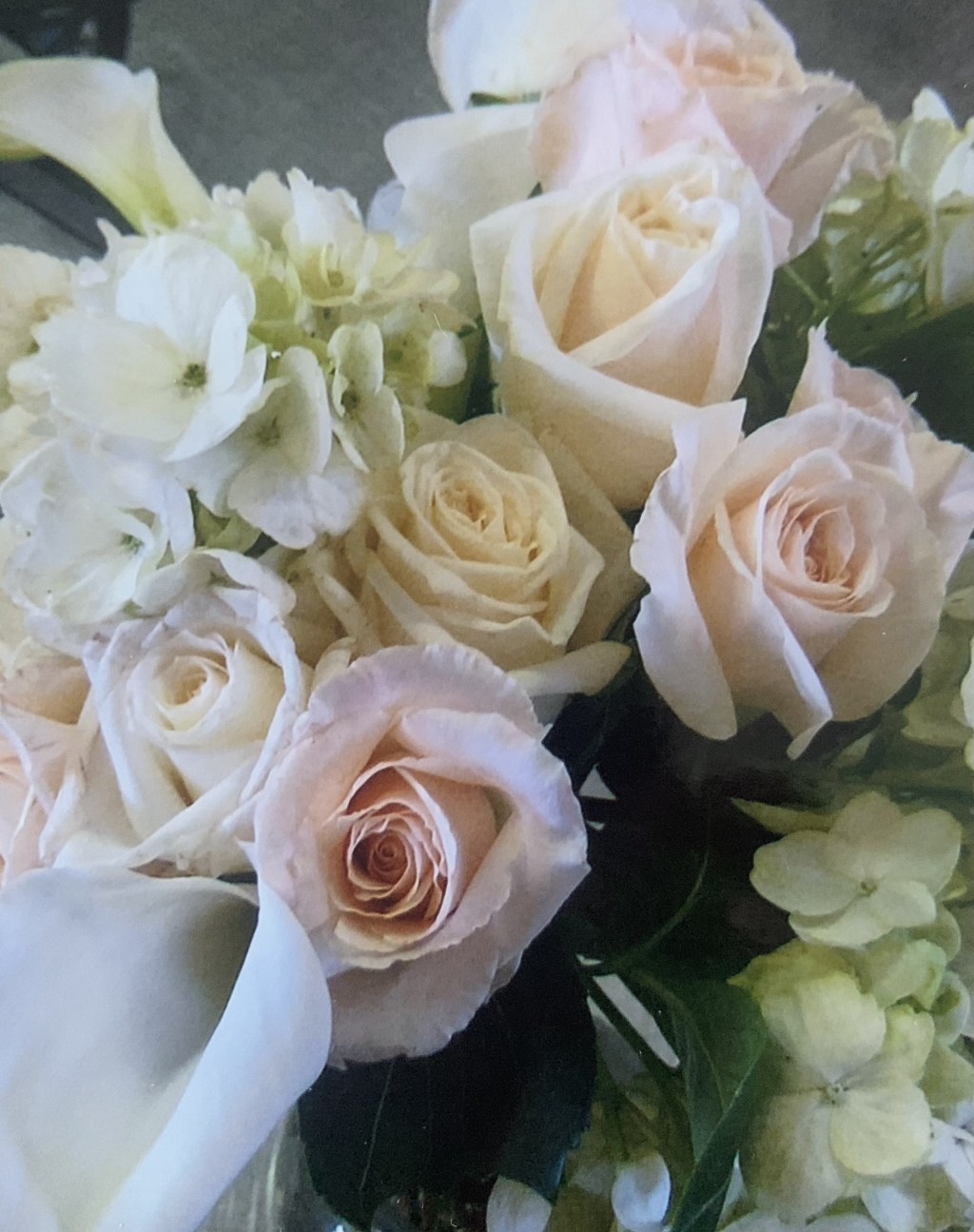 On 50th Anniversaries